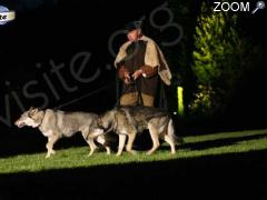 Foto "Entre chiens et loups"