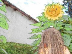 picture of MAGIE IMAGE