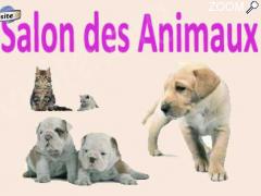 photo de Salon des Animaux