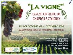 photo de "La Vigne"