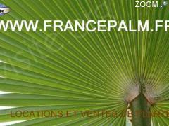 foto di Location de plantes en Vendee