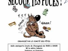 фотография de Secoue Tes Puces