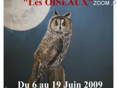 picture of Les oiseaux