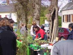 photo de Marché aux plantes et produits du terroir