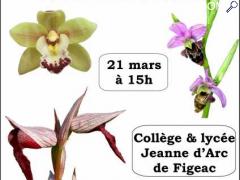 photo de Orchidées du Lot et d'ailleurs