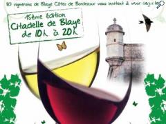 photo de PRINTEMPS DES VINS DE BLAYE