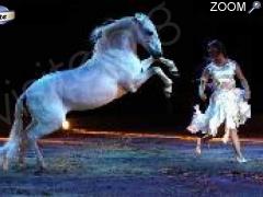 photo de Spectacle Equestre
