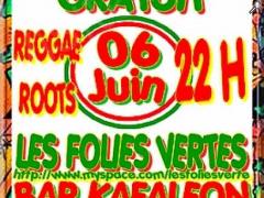 photo de Concert => samedi 6 juin => les folies vertes => reggae / roots