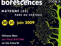 photo de Les Arts'Borescences 2009