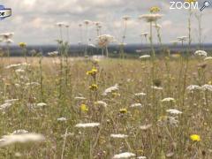 photo de Concours photo "Les espaces naturels remarquables de Poitou-Charentes"