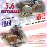 foto di WESTERN.CHAMIONNAT DE FRANCE DE TRI DE BETAIL AFET.