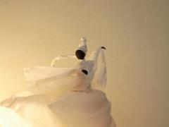 picture of Papier et métamorphoses
