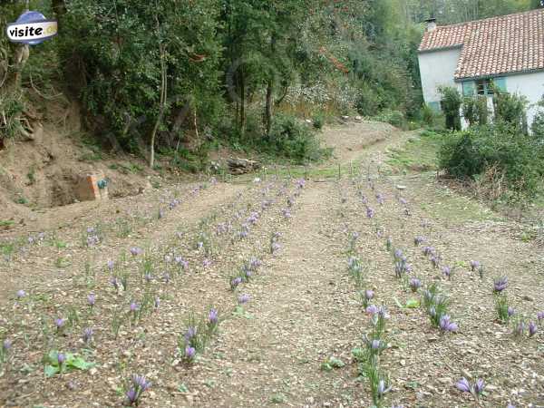 Fermer la fenêtre