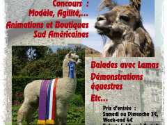 фотография de Salon Européen Alpagas et Lamas