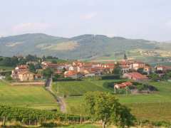 picture of Beaujolais nouveau et Buffet Campagnard