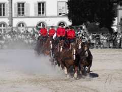 foto di Visites guidée du Haras national de Lamballe