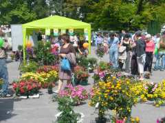 Foto Marché aux Fleurs et Vide Grenier Géant