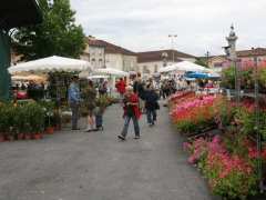 фотография de JARDIN EN FETE