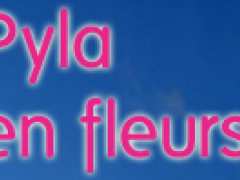 picture of Pyla en fleurs