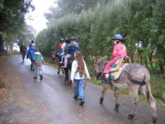 picture of Mercredi découverte de l'âne et de la ferme