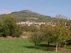 picture of brocante vide grenier