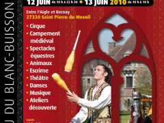 picture of FESTIVAL DES ARTS DU SPECTACLE