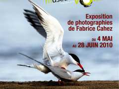 Foto Allier rivière à plumes