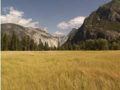 Foto vide-greniers