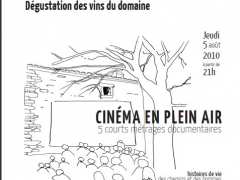 foto di Cinéma en plein air au domaine de Massereau