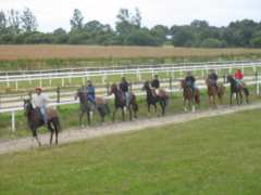 Foto Visite du Centre d'Entraînement Régional de Galop de l'Ouest (C.E.R.G.O)