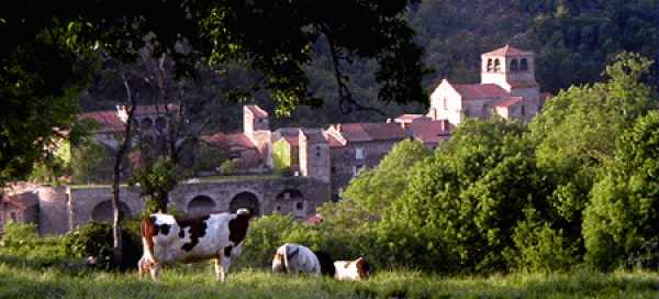 Fermer la fenêtre