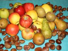 фотография de foire aux poires et pommes