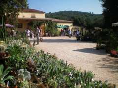 photo de Foire aux plantes dans les Vignes 2010