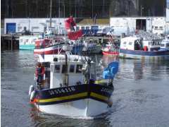 photo de Destination portuaire: La marée du jour, port de pêche de Keroman