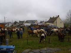 photo de FOIRE D'AUTOMNE