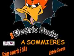 фотография de Scène ouverte et Concert THE ELECTRIC DUCKS