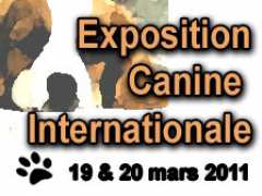 photo de Exposition Canine Internationale