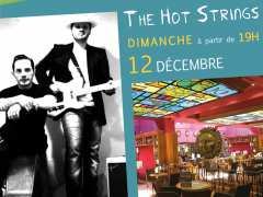 photo de Concert avec The Hot Strings