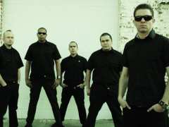 Foto THE AGGROLITES + Dj undersounds