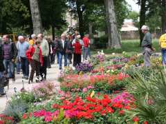 photo de 4è Art et Passion au Jardin