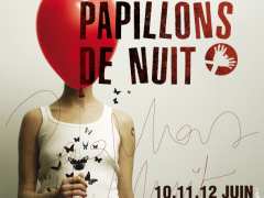 picture of Festival Papillons de Nuit 2011