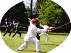 foto di Démonstration de Tai Ji Quan et Qi Gong