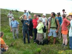 photo de Balade cueillette de plantes et cuisine sauvage 