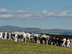 фотография de FETE DU PERCHERON