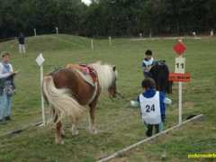 foto di TREC Championnat inter-régional équestre