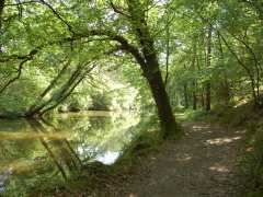 picture of Promenade nature dans la Vallée de la Fée Carabosse