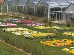 фотография de ouverture d'UN SALON DE THE DANS LES JARDINS SUSPENDUS