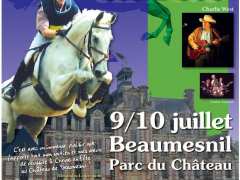 foto di Cheval en fête au château de Beaumesnil