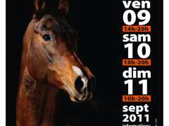 photo de Le Salon du Cheval - EQUIBOURGOGNE - 9/10/11 Septembre 2011 à Morey St Denis
