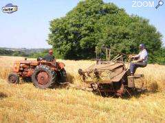 фотография de Fête de la moisson : battage à l'ancienne